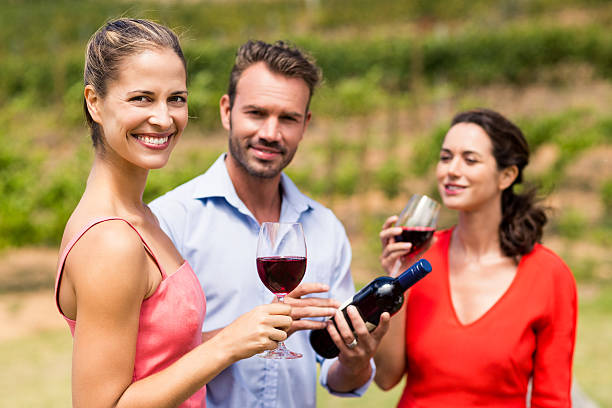 istock Happy friends having wine 629730572