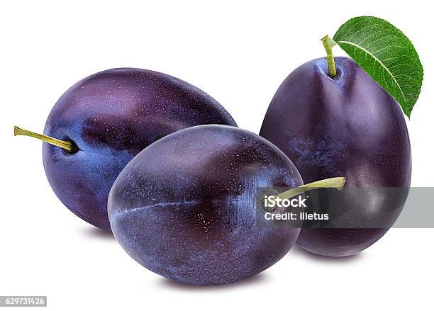 Fresh Plums Isolated On White Stock Photo - Download Image Now - Plum, Cut Out, Dessert - Sweet Food