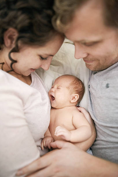 istock Time for a nap, mister 629732542
