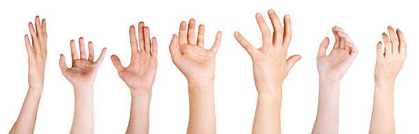 istock Many hands reaching out in the air 629736820