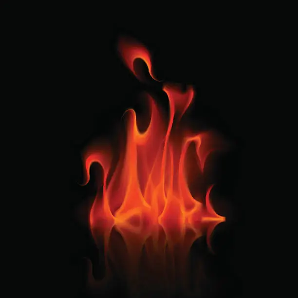 Vector illustration of Red Fire Flame Bonfire Isolated on Background