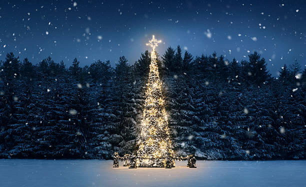 Christmas tree at night Illuminated christmas tree at night with falling snow and copy space tranquil evening stock pictures, royalty-free photos & images