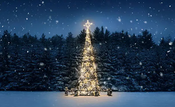 Photo of Christmas tree at night