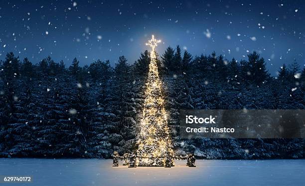 Foto de Árvore De Natal De Noite e mais fotos de stock de Natal - Natal, Árvore de Natal, Pinheiro - Conífera