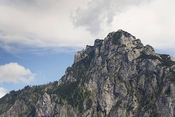 traunstein mountain on bank of lake traunsee in salzkammergut, austria - mountain lake austria bavaria imagens e fotografias de stock