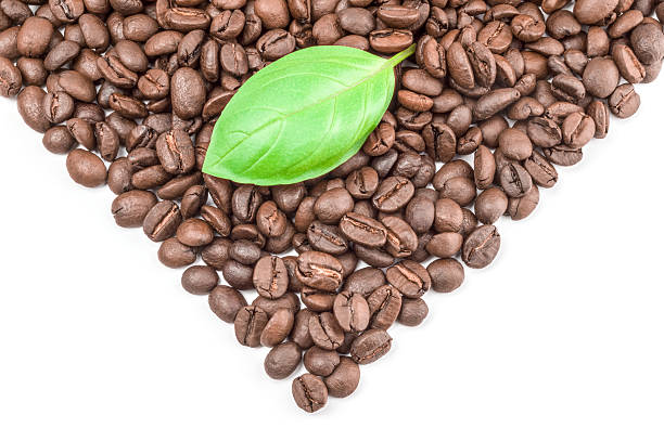 istock Coffee beans isolated on a white background cutout 629757532