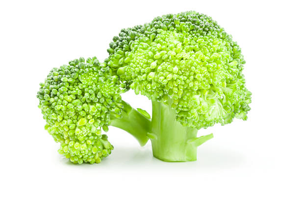 istock Broccoli floret isolated on a white background cutout 629760532