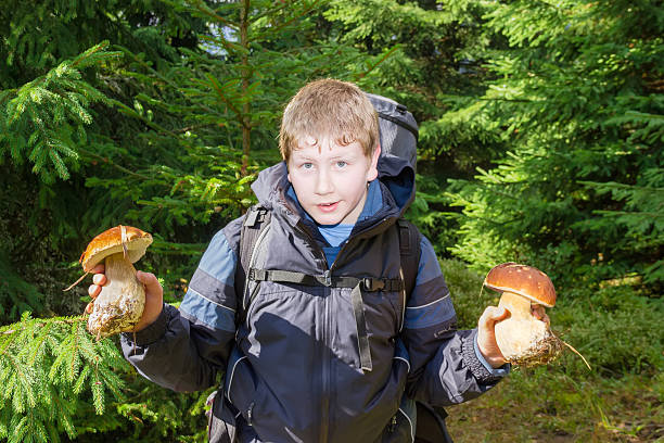 istock Young tourist with two boletus in a spruce forest 629761474