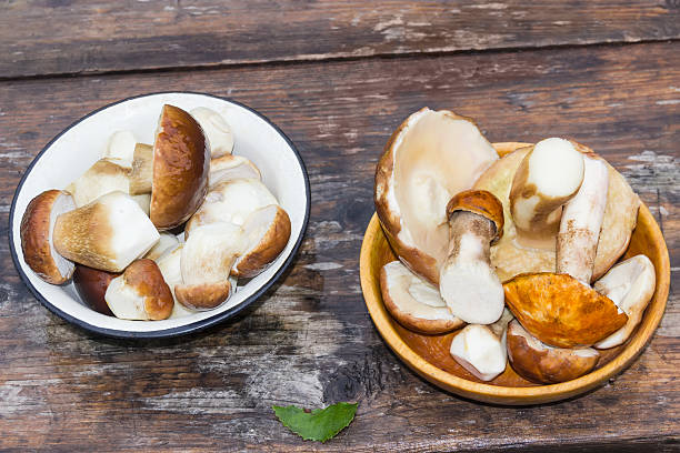 istock Uncooked boletus in two bowl on wet old table 629761640