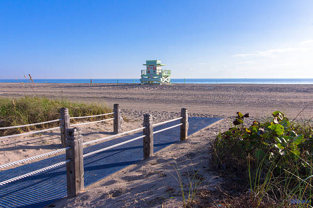 istock Road to the wide beautiful ocean beach 629761692
