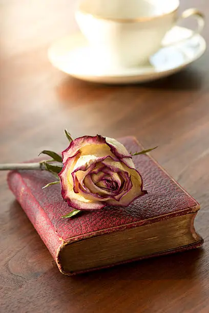 Photo of Dried rose on antique leather binding book in warm sun