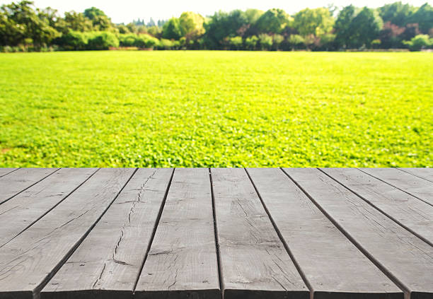 istock Wooden platform with green field defocused abstract background 629767544