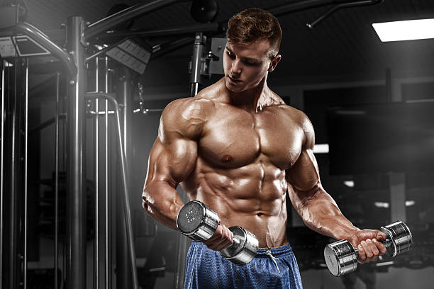Muscular man working out in gym doing exercises, torso abs Muscular man working out in gym doing exercises with dumbbells at biceps, strong male naked torso abs man muscular chest stock pictures, royalty-free photos & images