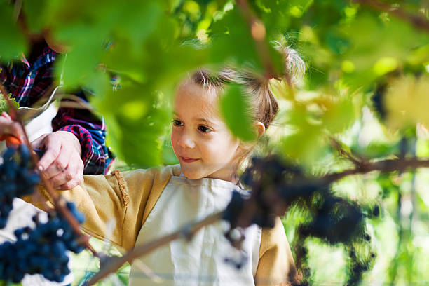 istock Family business 629767812
