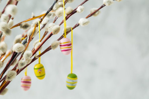 Easter decorations on pussy willow, copy space