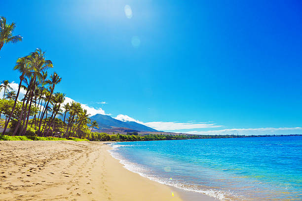 Kaanapali Beach and resort Hotels on Maui Hawaii The Kaanapali Beach and resort Hotels on Maui Hawaii. A popular tourist destination on the west coast of the island of Maui. Lined with luxury hotels and entertainment district. Photographed in horizontal format with copy space. maui stock pictures, royalty-free photos & images