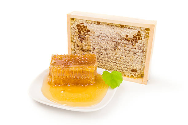 istock Honey bee isolated on a white background cutout 629773730