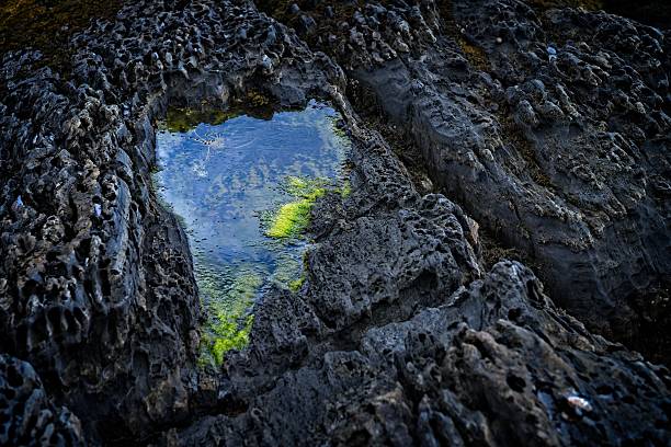 Tidal pool in coastal rock, Lunenburg, Nova Scotia.  Great textures.