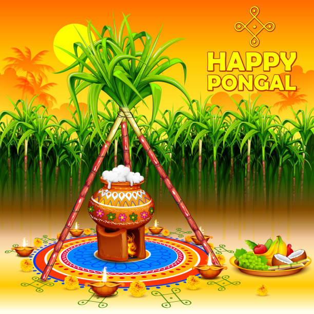 Happy Pongal greeting background illustration of Happy Pongal greeting background happy pongal pics stock illustrations