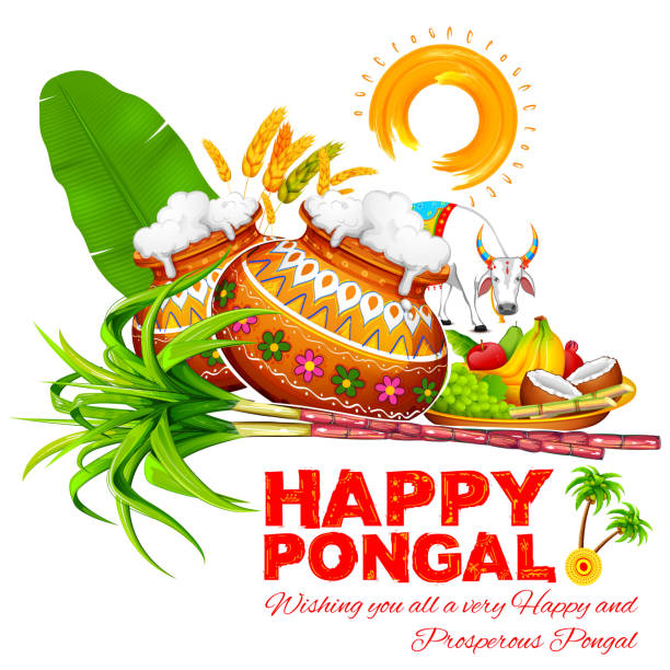 Happy Pongal greeting background illustration of Happy Pongal greeting background hordeum stock illustrations