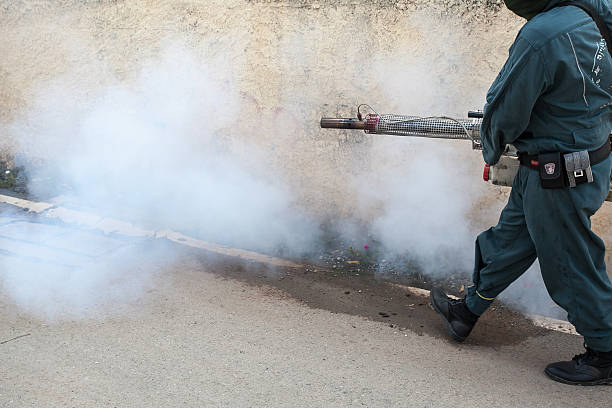 istock Man Fogging mosquito to prevent of dengue fever 629778708