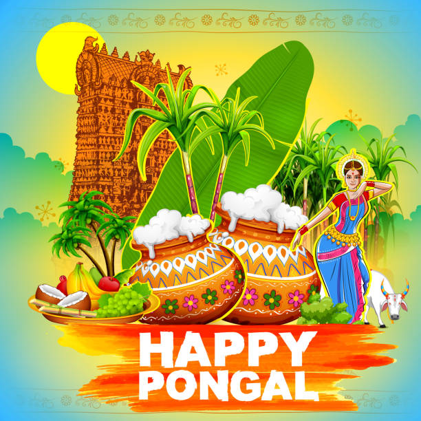 Happy Pongal Greeting Background Stock Illustration - Download Image Now -  Makar Sankranti, Pongal Festival, Culture of India - iStock
