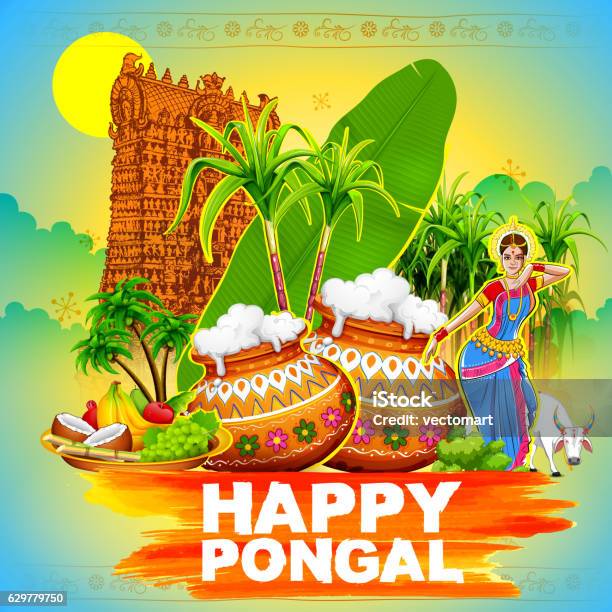 Happy Pongal Greeting Background Stock Illustration - Download Image Now - Pongal Festival, Makar Sankranti, Celebration
