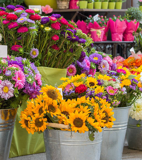 istock sunflowers in flower shop 629781480