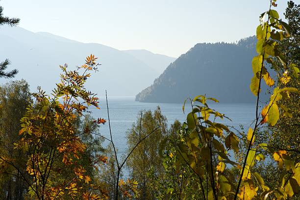 istock Mountain lake. Teletskoye in Altai 629781934