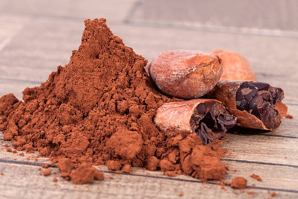 istock Cocoa beans and powder on wooden plank 629783150