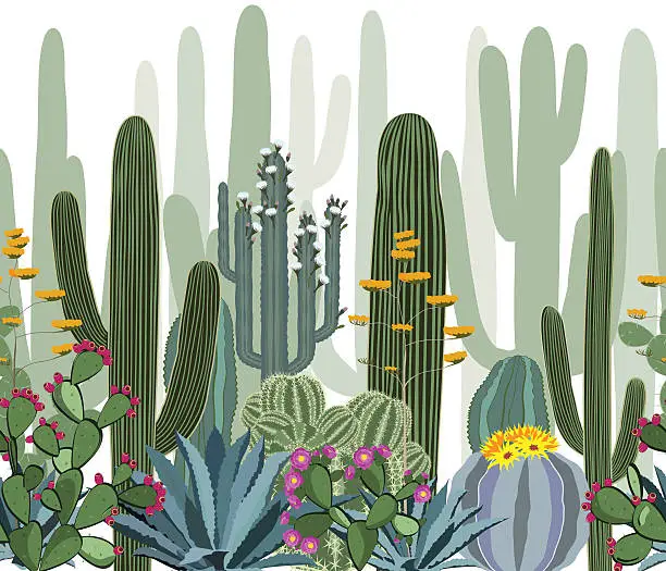 Vector illustration of Seamless pattern with cactus, agave, and opuntia.