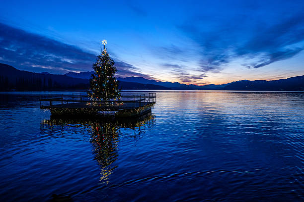 istock Christmas tree floating on a lake after sunset. 629785864