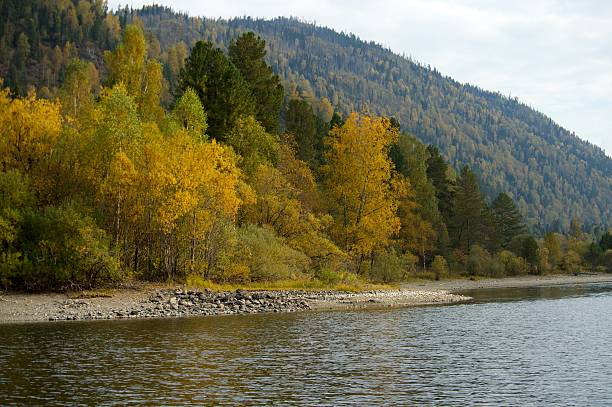 istock Bled lake pebble beach 629786634