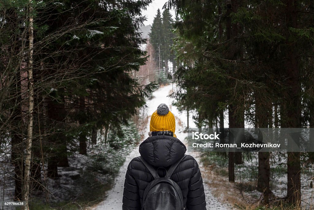 caminar en el bosque de invierno - Foto de stock de Invierno libre de derechos