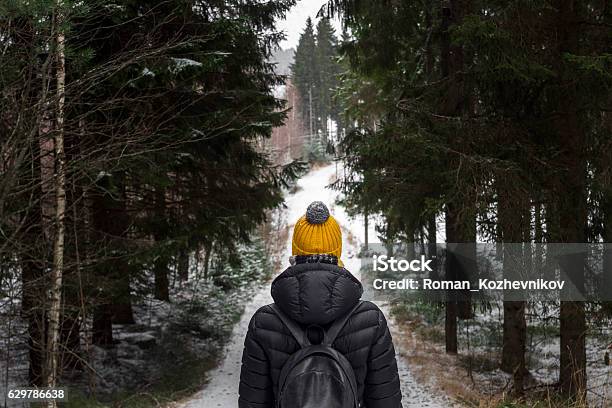 Caminar En El Bosque De Invierno Foto de stock y más banco de imágenes de Invierno - Invierno, Excursionismo, Nieve