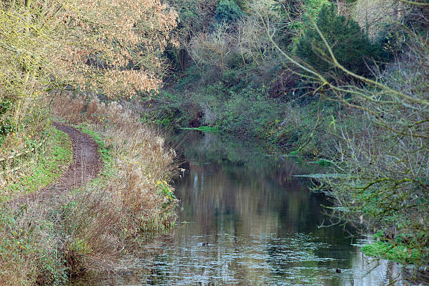 istock Basingstoke Canal and towpath at Greywell, UK 629786792