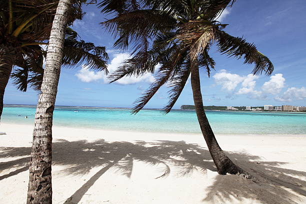 istock beach in view of Guam,US 629786858