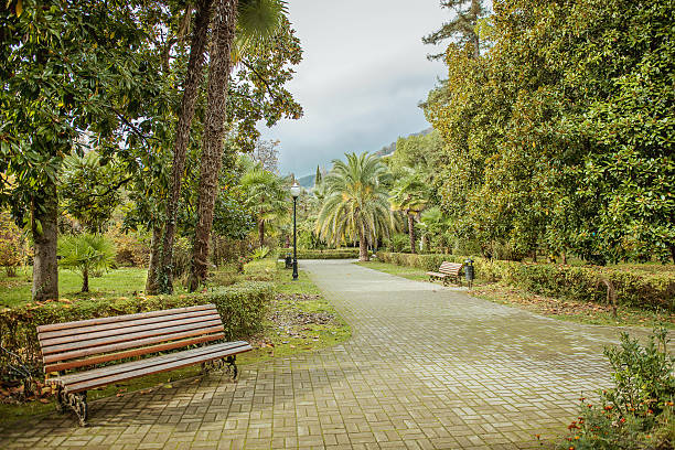 istock city park, an empty bench and alley 629788192