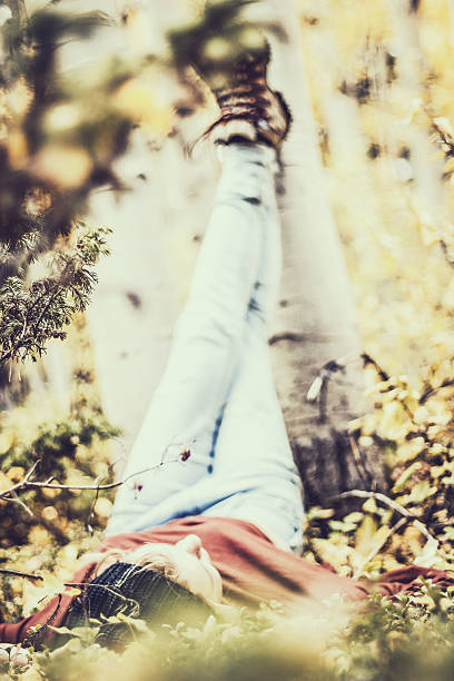 Lazily Gazing into the Aspens