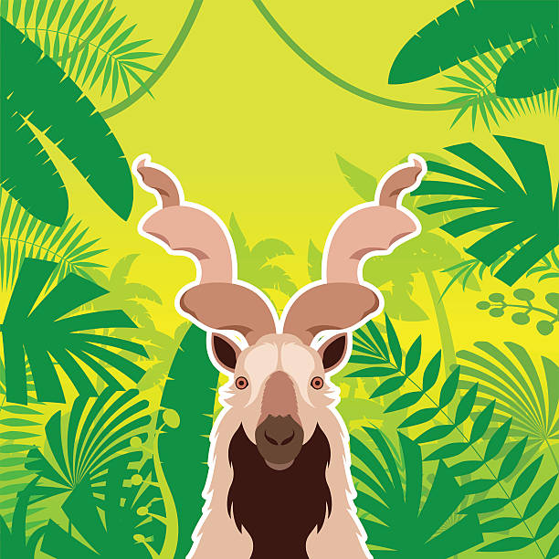 ilustraciones, imágenes clip art, dibujos animados e iconos de stock de markhor en el fondo de la selva - paridigitate mammals
