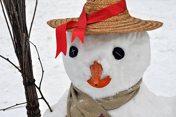 istock snowman closed in straw hat and scarf 629789940