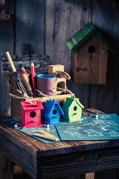 istock Project of small bird house and construction plan 629792620
