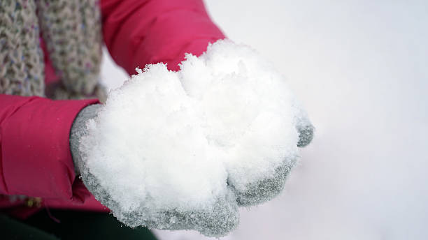 istock woman holding snow in hands outdoors in winter. 629792958