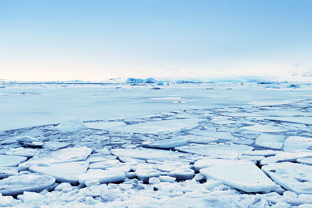 laguna glaciale ghiacciata di jokulsarlon in inverno, islanda - ice floe foto e immagini stock