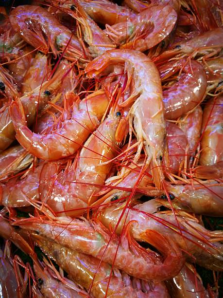 Shrimp in fish market