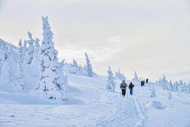 istock Group of hikers in winter mountains going up 629796140