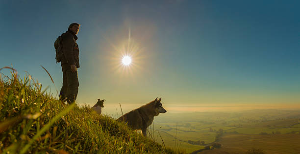 Hiker with two dogs 1 stock photo