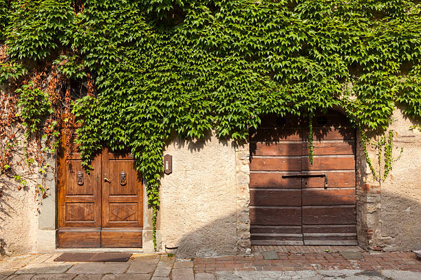 istock Suvereto, Liguria, Italy 629797290