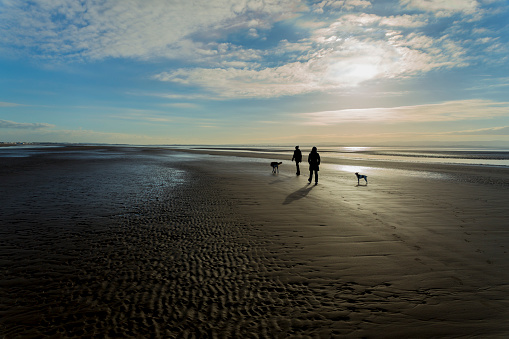 A couple, with two dogs walk along a sandy beach