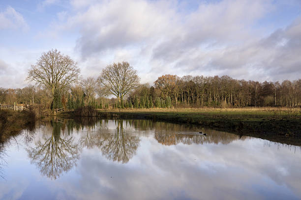 istock The West Brabant Waterline 629799334